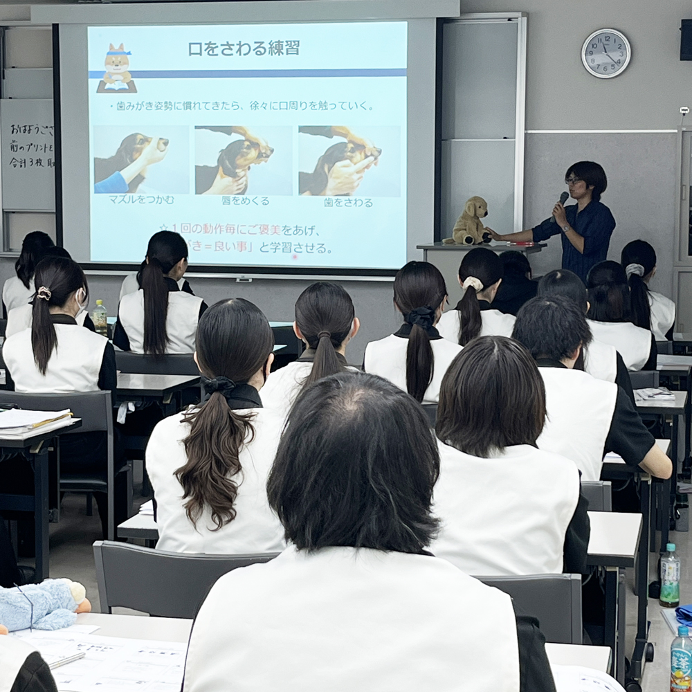 犬の行動学を学びます！